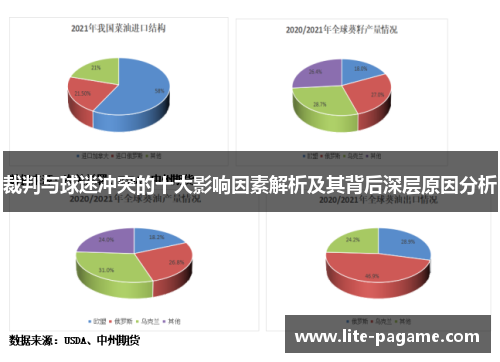 裁判与球迷冲突的十大影响因素解析及其背后深层原因分析